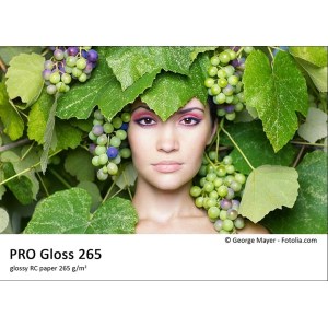Pro Gloss 265
